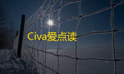 三角洲行动梦境辅助Civa爱点读